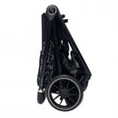 Capella Kinglee™ Flex-All System - 2 Color