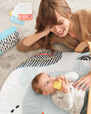 Skip Hop Discoverosity Deluxe Activity Gym