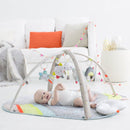 Skip Hop Silver Lining Cloud Activity Gym