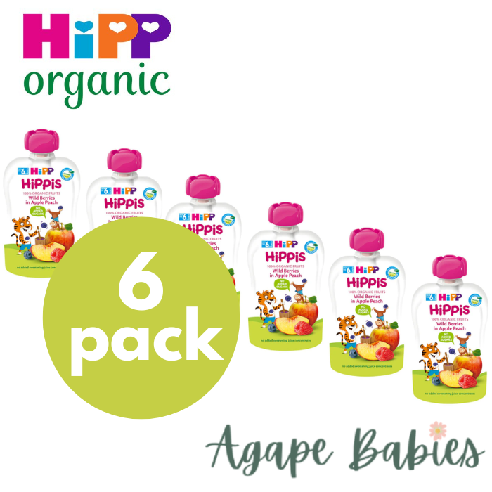 [6-Pack] Hipp Organic Wild Berries in Apple Peach 100g Exp: 05/24