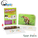 WINK to LEARN Chinese Flash Cards - Beginner 3