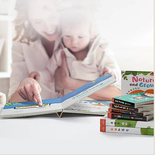Babycare Sliding & Learning Books(4 Books)