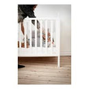 Baby Dan Baby Bounce