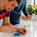 Smart Games - IQ Mini (Set Of 5 = Set of Blue, Yellow, Purple, Green, Red)