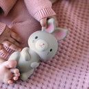 [2 Pack] Ingenuity Natural Rubber Teether Toy: Sylvi