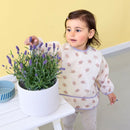 Lassig Long Sleeve Bib 2 Pcs Tiny Team - 2 Designs
