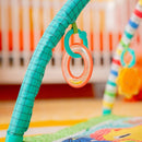 Bright Starts Wild Wiggles Foldaway Activity Gym