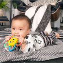 [4-Pack] Baby Einstein Ocean Explorer Easy Grasp Starfish Teether Toy