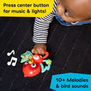 [2-Pack] Baby Einstein Roxys Bright Flight Musical Toy