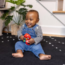 [2-Pack] Baby Einstein Roxys Bright Flight Musical Toy