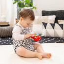 [2-Pack] Baby Einstein Roxys Bright Flight Musical Toy
