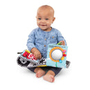[2-Pack] Baby Einstein Counting at the Farm™ Soft Activity Book