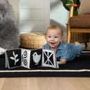 [2-Pack] Baby Einstein Counting at the Farm™ Soft Activity Book