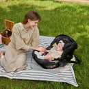 Daiichi Bliva i-Size Infant Car Seat (ADAC Rating 1.4) - 2 Colors