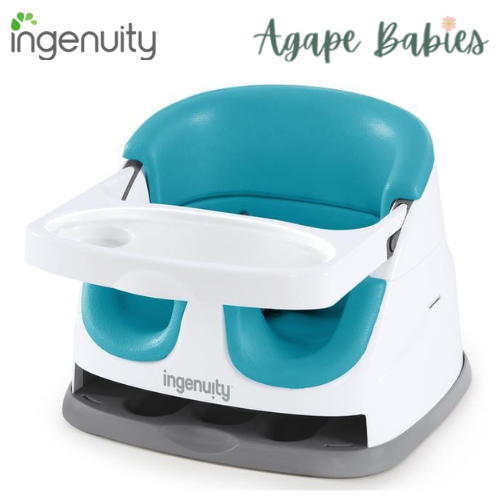 Ingenuity Baby Base 2-in-1 Seat