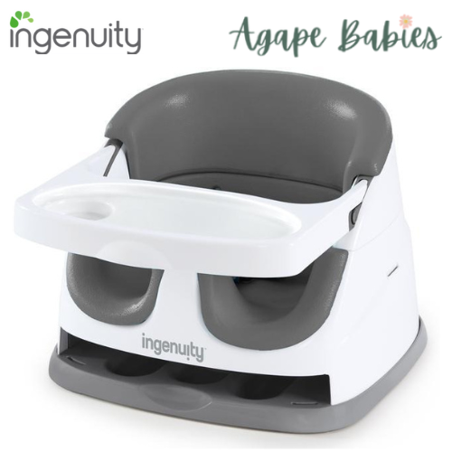 Ingenuity Baby Base 2-in-1 Seat