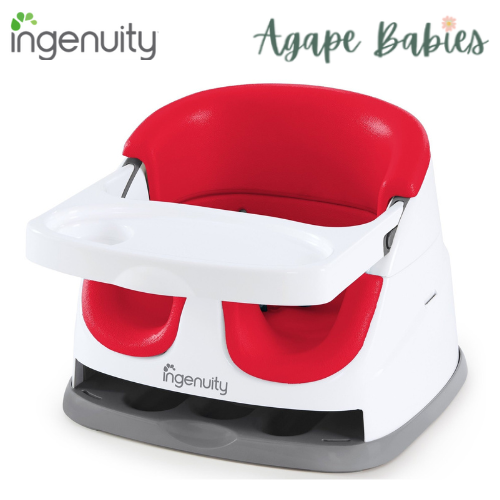 Ingenuity Baby Base 2-in-1 Seat