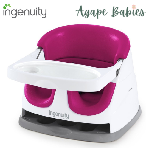 Ingenuity Baby Base 2-in-1 Seat