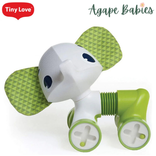 Tiny Love Tiny Rolling Toy - 3 Designs