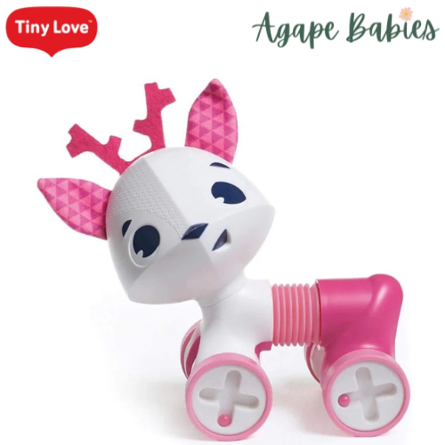 Tiny Love Tiny Rolling Toy - 3 Designs