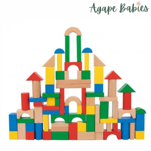 Montessori Educative Learning Wooden 100pcs Block Activity Toy