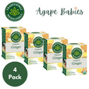 [Bundle Of 4] Traditional Medicinals Organic Ginger Tea, 16 bags Exp: 04/28