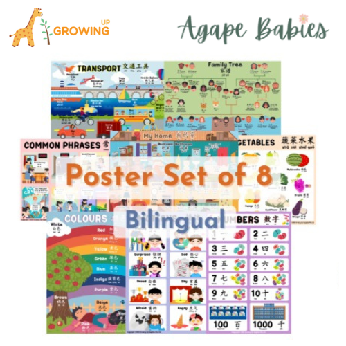 Growing Up Academy Educational Posters (Set of 8) – Bilingual (28X40cm)