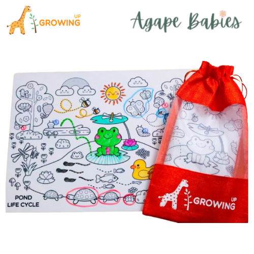 Growing Up Silicon Colouring Big Mat 40x30cm (with bag) - Pond Life Cycle