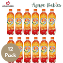 [12-Pack] Hollinger Organic Ice Tea Peach, 500ml Exp: 07/25