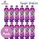 [12-Pack] Hollinger Organic Ice Tea Wildberry, 500ml