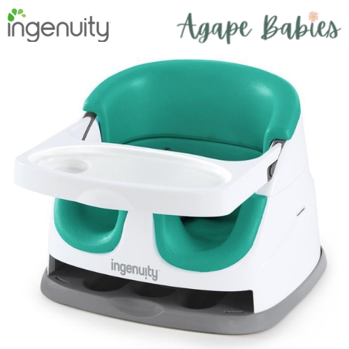 Ingenuity Baby Base 2-in-1 Seat