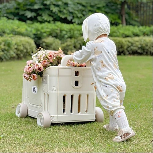 Lucky Baby Smart System 4 In 1 Ride On Push & Pull Cart