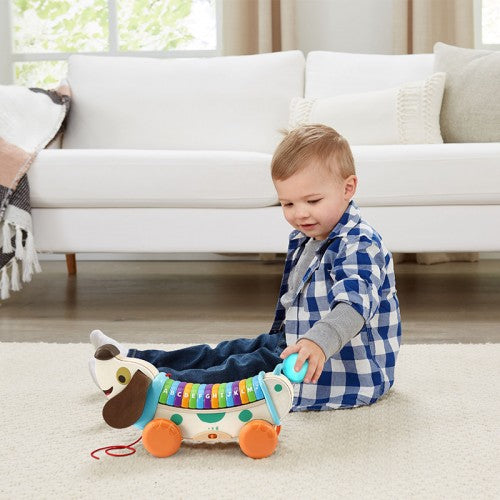 LeapFrog Wooden AlphaPup