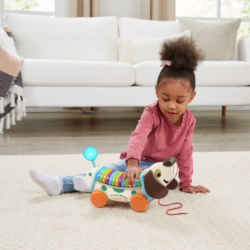 LeapFrog Wooden AlphaPup