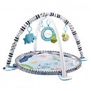 Lucky Baby 2 In 1 Ocean Activity Playgym