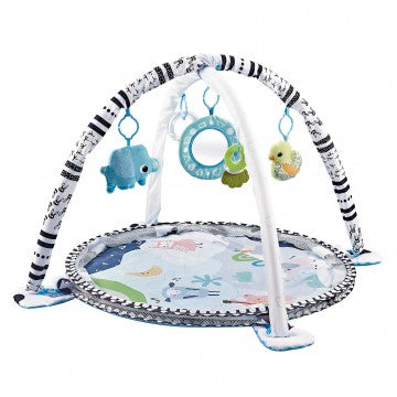 Lucky Baby 2 In 1 Ocean Activity Playgym