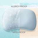 Lucky Baby "Infant Head Shapper Pillow  30X22 Cm"