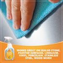 Ecos All Purpose Cleaner Orange Plus 22oz Exp: 09/27