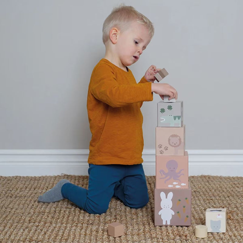 Jabadabado Stacking And Sorting Cubes Nature