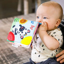[2-Pack] Baby Einstein Curious Explorers Teether Book