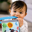 [2-Pack] Baby Einstein Curious Explorers Teether Book