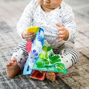 [2-Pack] Baby Einstein Curious Explorers Teether Book
