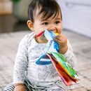 [2-Pack] Baby Einstein Curious Explorers Teether Book