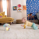 Bright Starts Hug-A-Bye Baby Musical Light Up Soft Toy