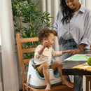 Ingenuity Baby Base 2-in-1 Seat - 5 Colors