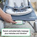 Ingenuity Happy Belly Rocker - 2 Designs