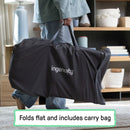 Ingenuity Happy Belly Rocker - 2 Designs