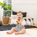 [2-Pack] Baby Einstein Shake A Shape Zen Teether Toy