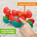 Bright Starts Rockin’ Crawling Crab