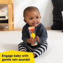 [2-Pack] Baby Einstein Rolling Rainmaker Shaker Toy